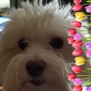 Meet your Posher, Judie